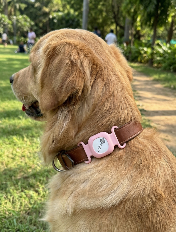 Collar Case for CustoTag