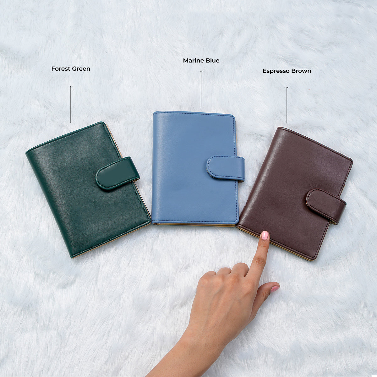 Passport Wallet - Pack of 3