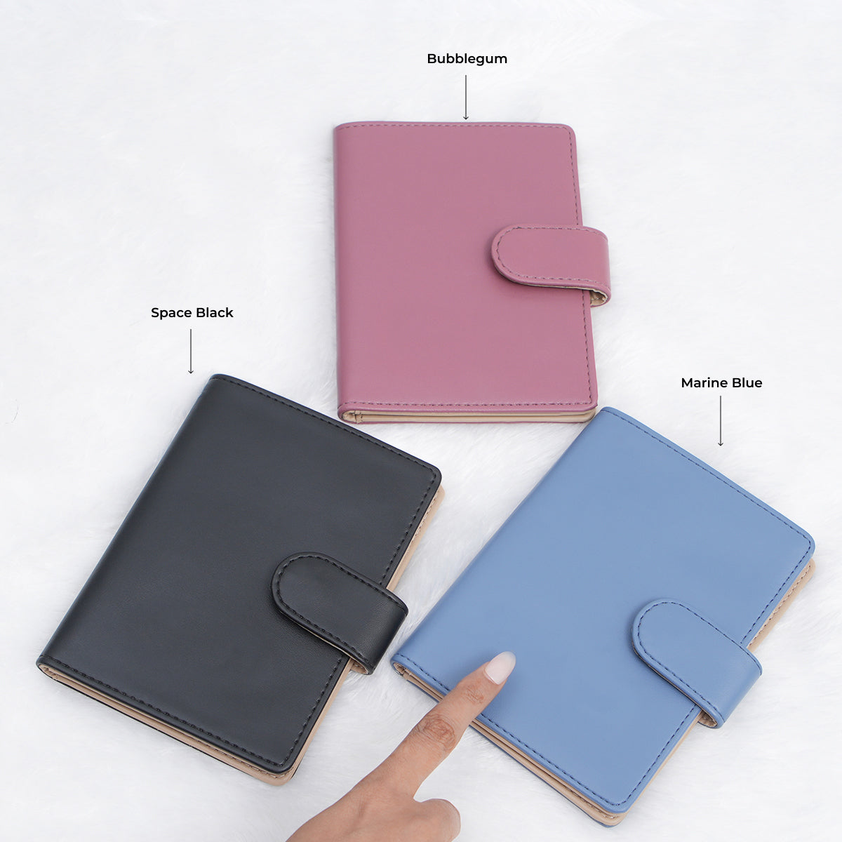 Passport Wallet - Pack of 3
