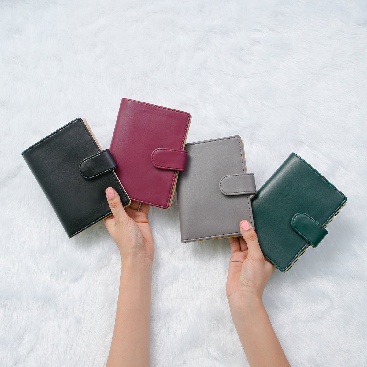 Passport Wallet - Pack of 4