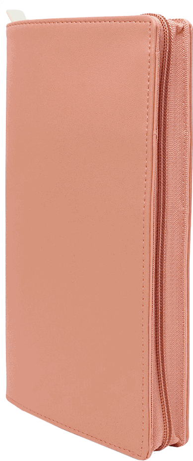 Custo Family Passport Holder with Zipper, zipped shut